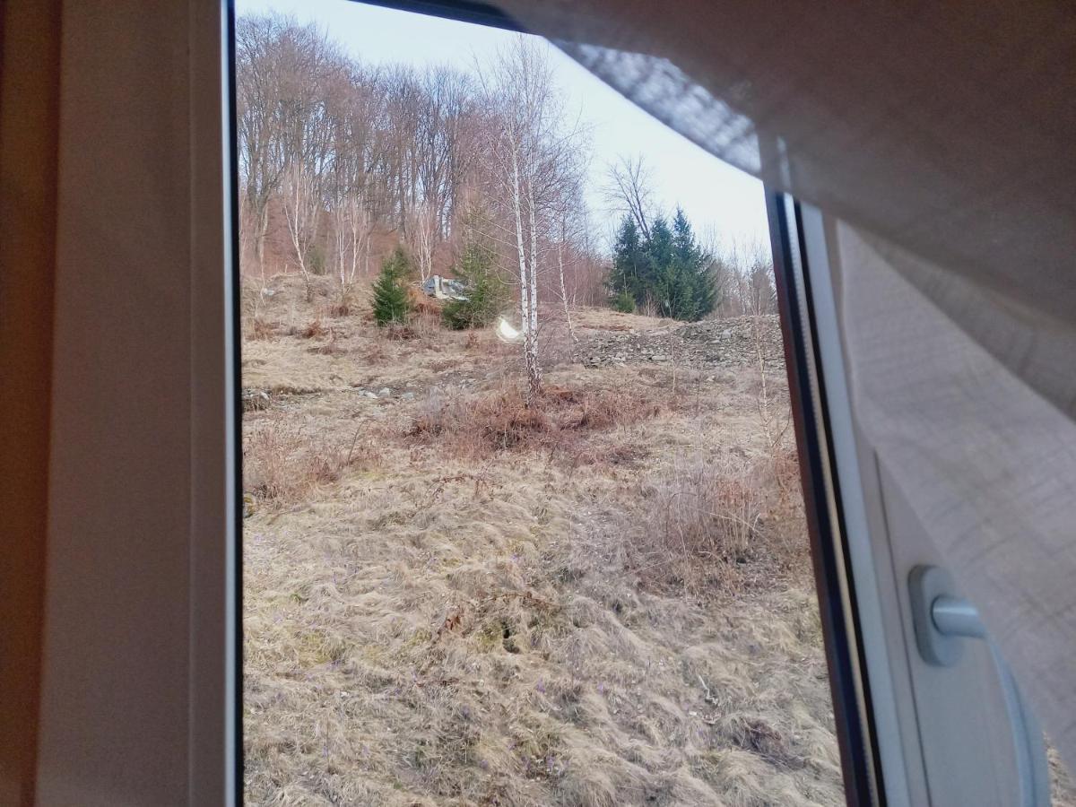 Cabana Belvedere Dragoslavele Eksteriør bilde
